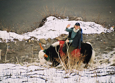 Yak Ride, Sikkim
