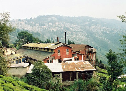 Darjeeling