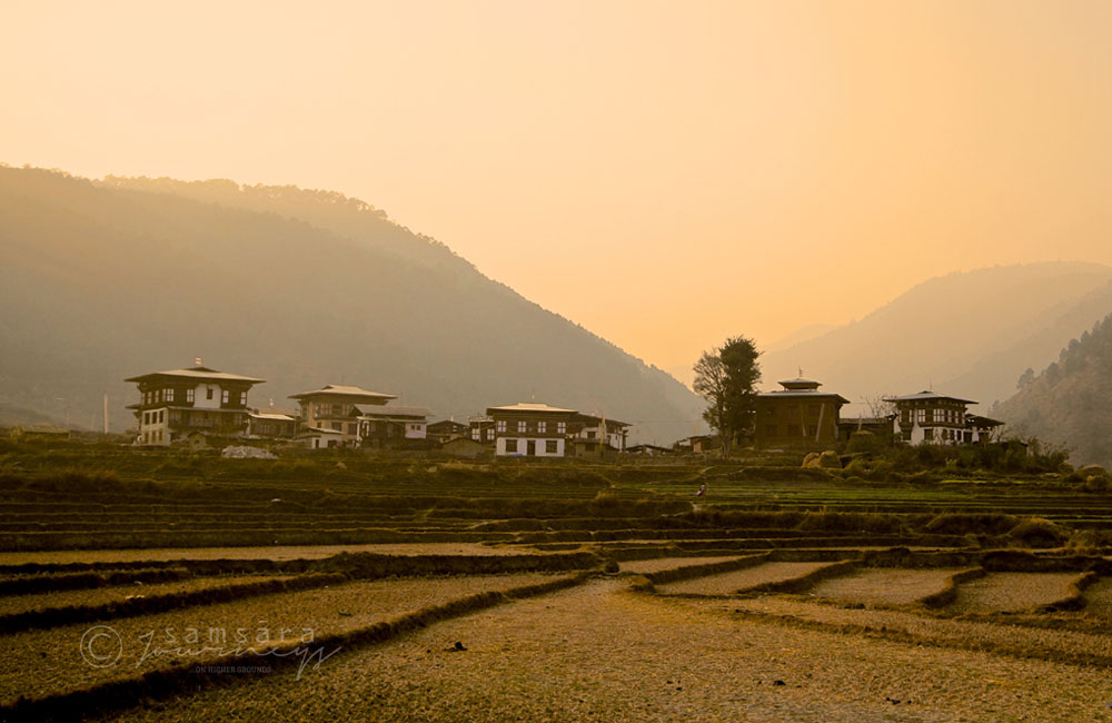Chomolhari Trek 